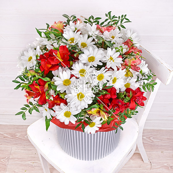 Соната для тебя